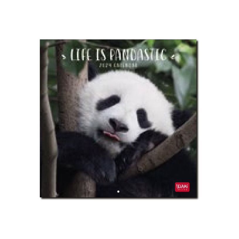 8051128759877-Legami - Calendrier mensuel 2024 - 18 x 18 cm - life is pandastic -P_405143140_2-0