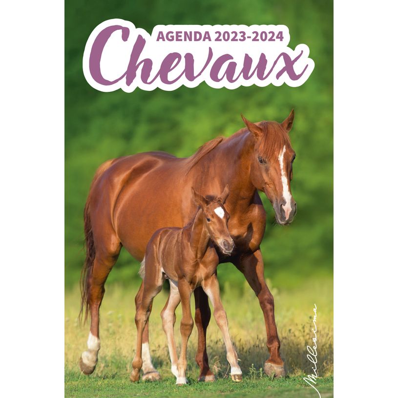 3127030047236-Agenda Chevaux - 1 jour par page-P_405143693_1-0