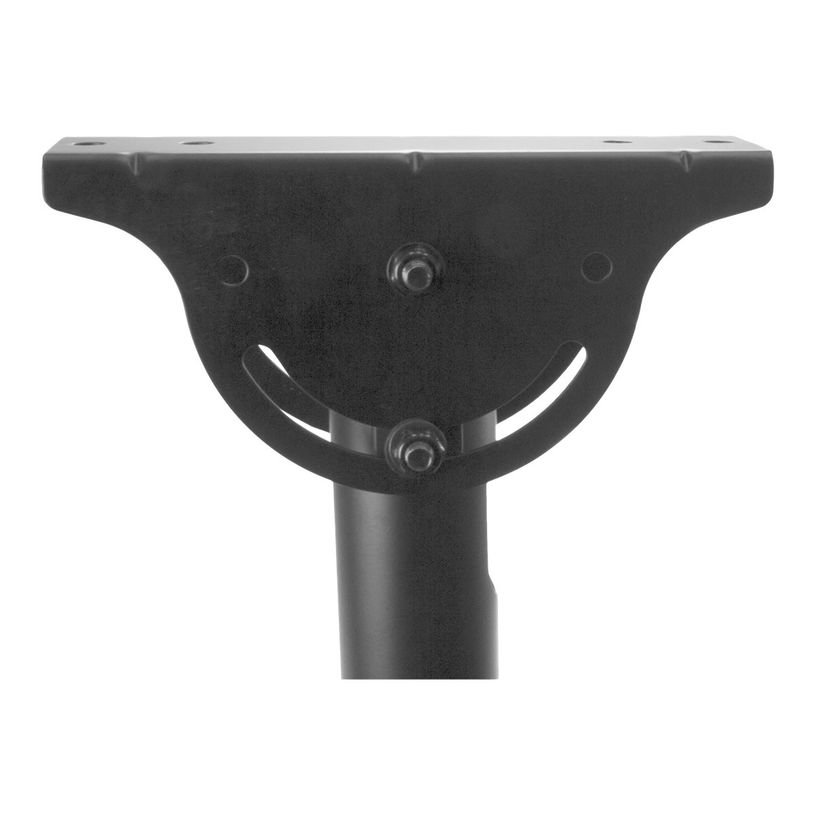 0065030865470-StarTech.com - Support plafond inclinable pour écran 32"-75" - noir-P_405143850_6-2