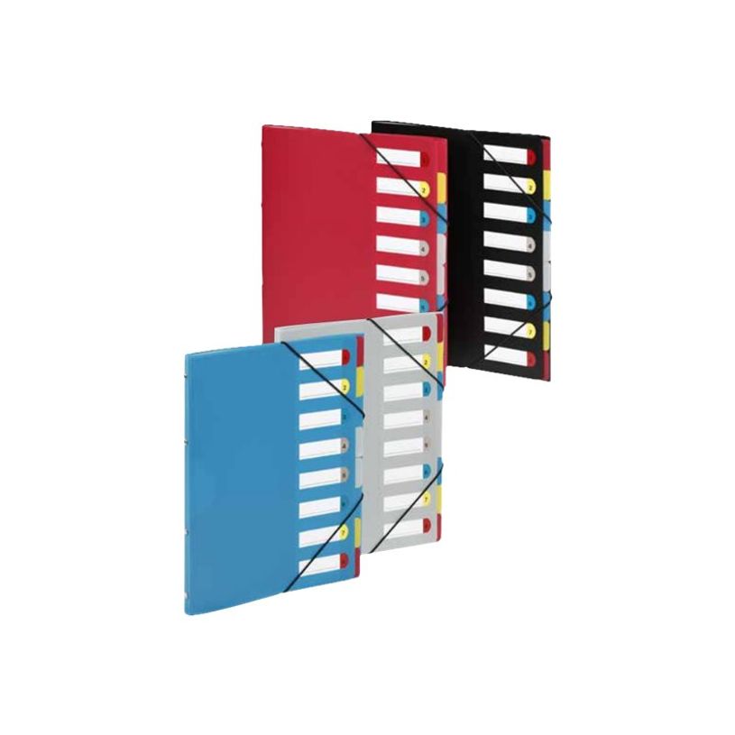 3135251985053-Viquel Essentiel - Trieur polypro 6 positions - A4 - Noir-P_405143874_1-1