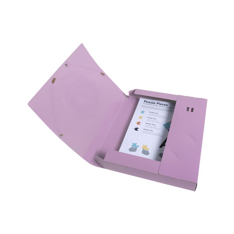 3130630598909-Exacompta Ellipse - Boîte de classement en polypropylène recyclé - Dos 40 mm - Pour 350 feuilles - timbre en or rose - g-P_405143891_2-2