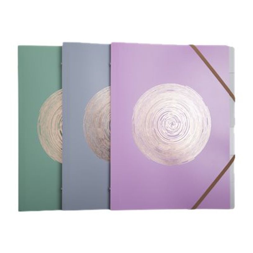 3130630568902-Exacompta Ellipse - 10 chemises à 3 rabats - A4 - Pour 180 feuilles - Timbre en or rose - g-P_405143898_1-0