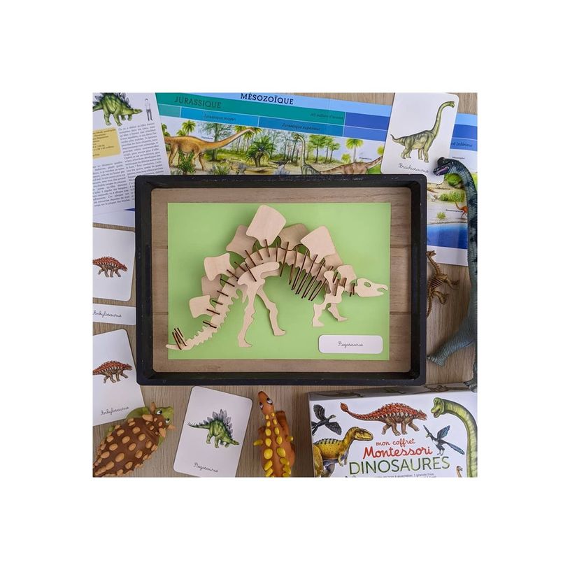9782092789544-Mon coffret Montessori des dinosaures-P_405143950_3-2