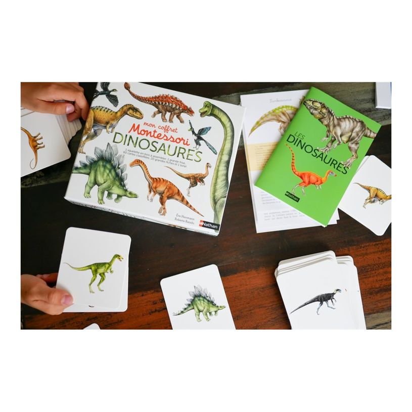 9782092789544-Mon coffret Montessori des dinosaures-P_405143950_4-3
