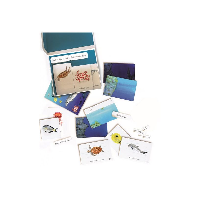 9782092789735-Mon coffret Montessori des océans-P_405143988_3-2