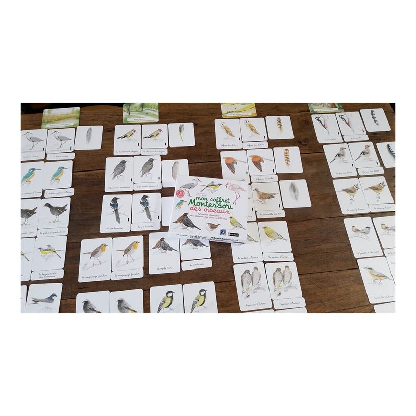 9782092788387-Mon coffret Montessori des oiseaux-P_405143990_3-4