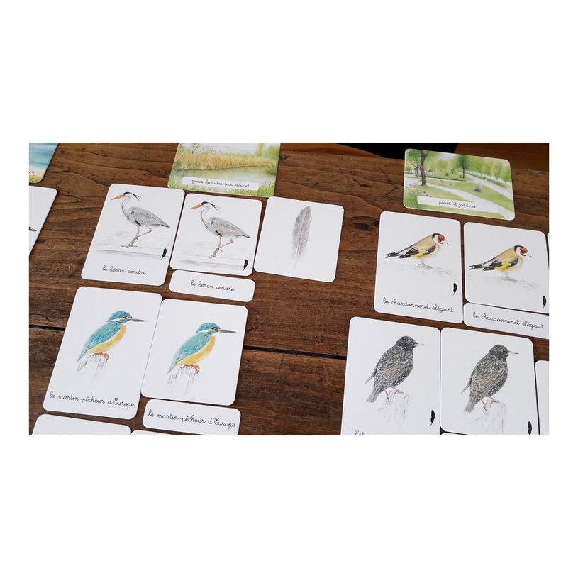 9782092788387-Mon coffret Montessori des oiseaux-P_405143990_4-3