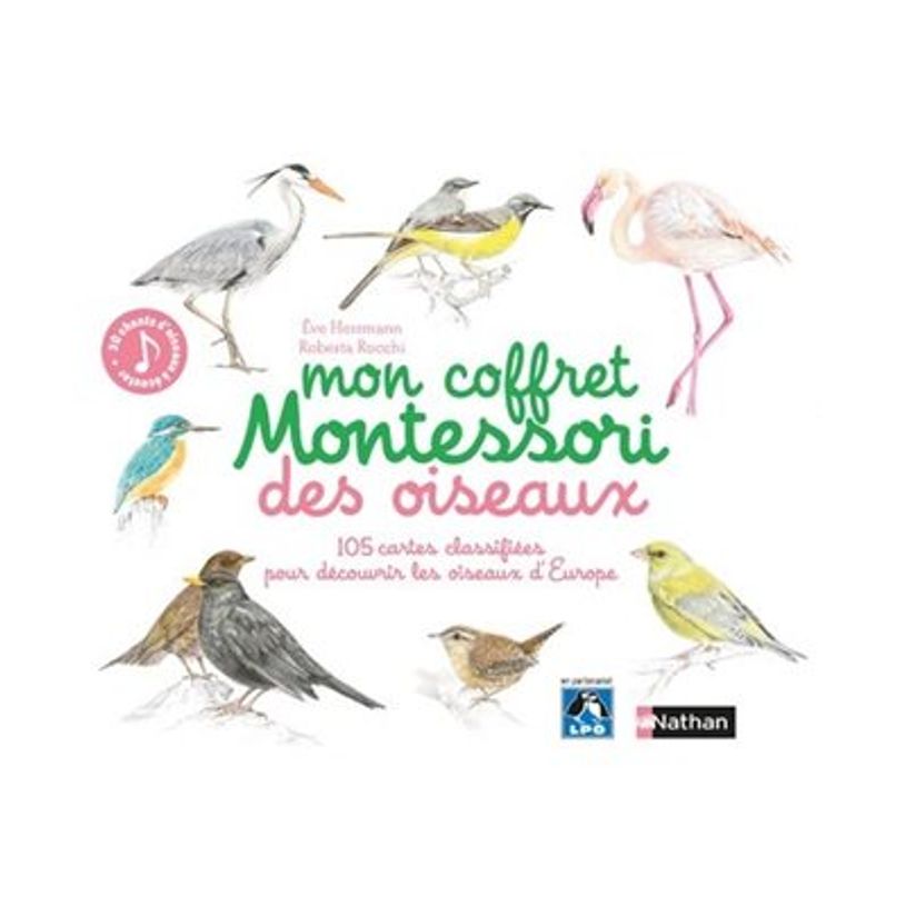 9782092788387-Mon coffret Montessori des oiseaux-P_405143990_6-2