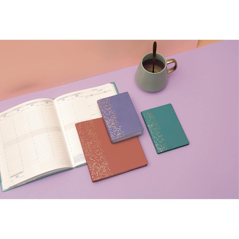 Agenda De Bureau 2026 Exacompta EasyTime 27S - Format 21x27 Cm, Semainier, Spiralé, Vert