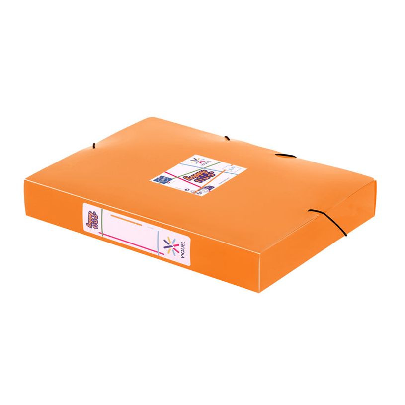 3135252217313-Viquel Happy Fluo - Boîte de classement plastique - dos 45 mm - disponible dans différen-P_405147347_8-7