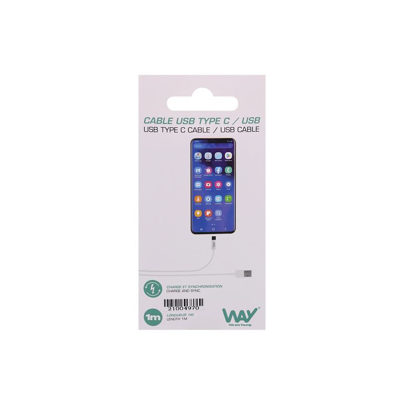 3303170097786-T'nB - Câble  USB vers USB-C  - 1 m - blanc-P_405147878_2-3
