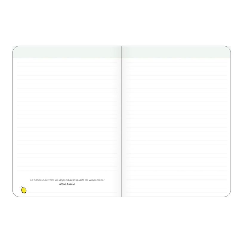 3371010498390-Quo Vadis Optimism - Carnet de notes - 15 x 21 cm - messages-P_405148609_4-5