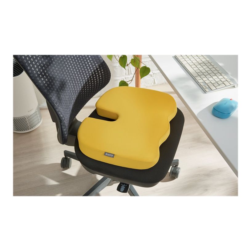 4002432129553-Leitz Ergo - Coussin de siège ergonomique - Soulage la pression et améliore la posture -P_405148752_2-10