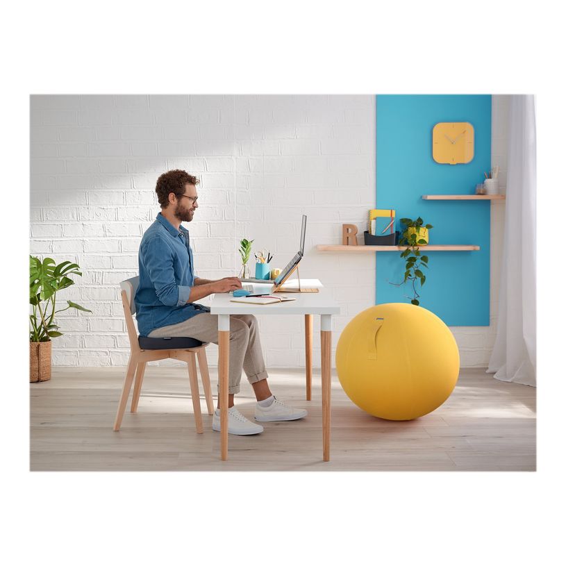 4002432129577-Leitz Ergo - Coussin de siège ergonomique - Soulage la pression et améliore la posture -P_405148754_3-10
