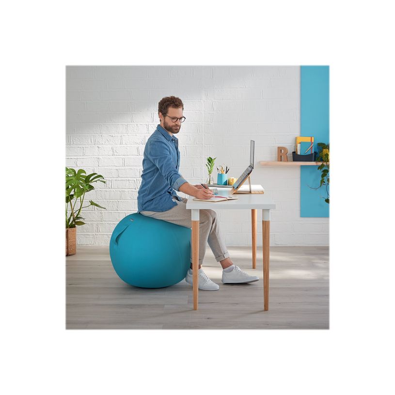 4002432129539-Leitz Ergo Cosy Active - Ballon d'assise ergonomique - améliore la posture - diamètre 6-P_405148764_2-11