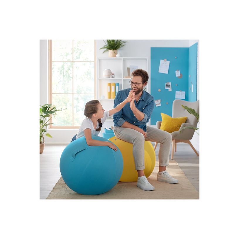 4002432129539-Leitz Ergo Cosy Active - Ballon d'assise ergonomique - améliore la posture - diamètre 65-P_405148764_4-9