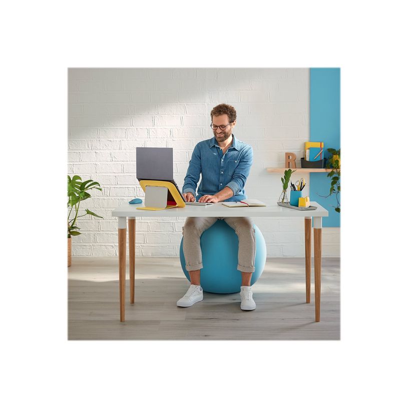 4002432129539-Leitz Ergo Cosy Active - Ballon d'assise ergonomique - améliore la posture - diamètre 65-P_405148764_6-5