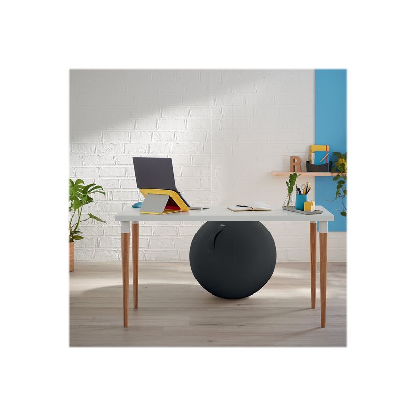 4002432129546-Leitz Ergo Cosy Active - Ballon d'assise ergonomique - améliore la posture - diamètre 65-P_405148765_4-6