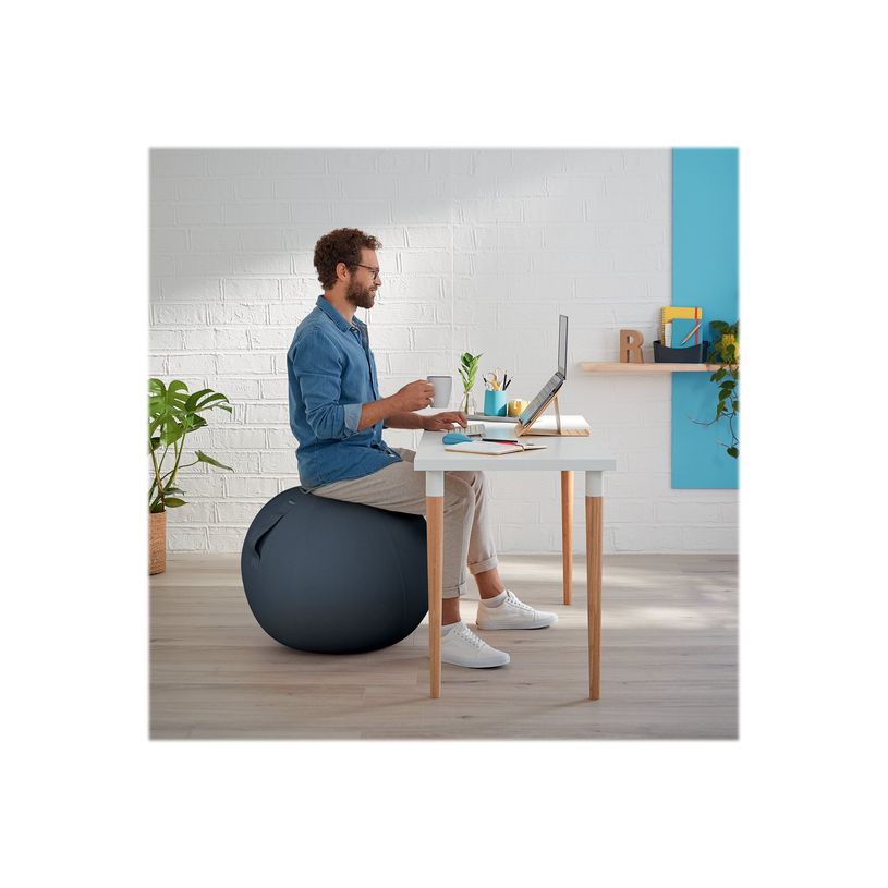 4002432129546-Leitz Ergo Cosy Active - Ballon d'assise ergonomique - améliore la posture - diamètre 65-P_405148765_5-7