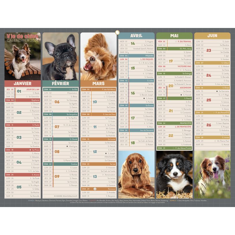 3592930026764-Calendrier bancaire illustré année civile BOUCHUT "Humour chien Medium" 32 x 42 cm Pefc 70 %--0