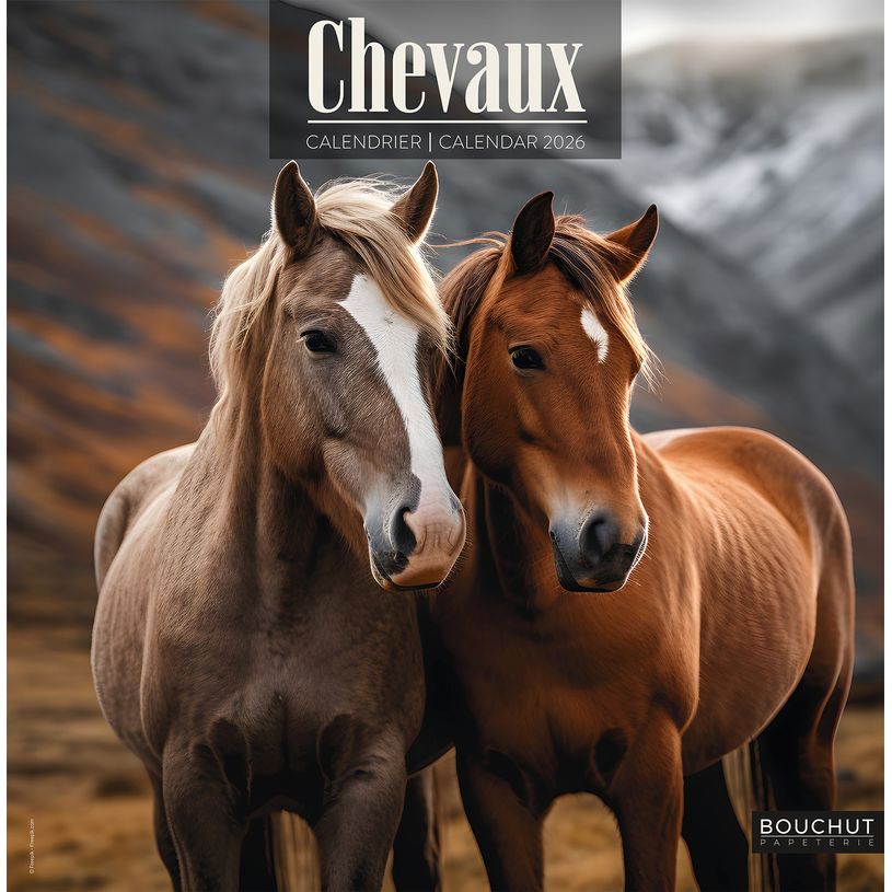 3592930027037-Calendrier illustré BOUCHUT 30 x 30 cm CHEVAL Pefc 70 %--0