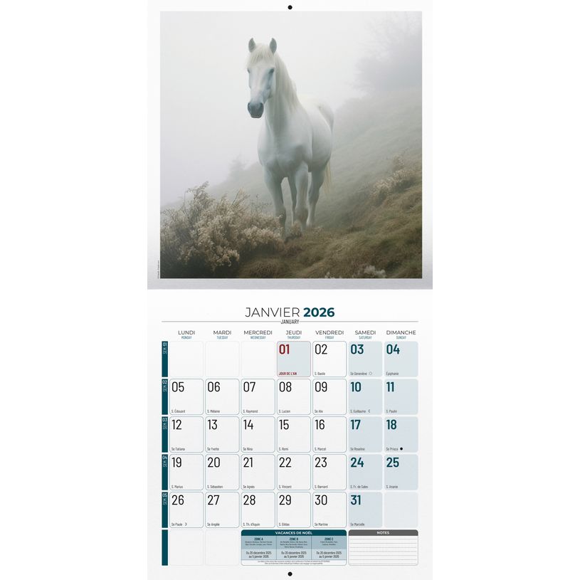 3592930027037-Calendrier illustré BOUCHUT 30 x 30 cm CHEVAL Pefc 70 %--1