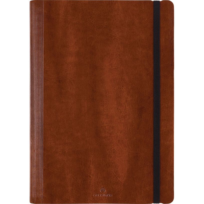 3664447155937-Agenda à spirale Medicis - 1 semaine sur 2 pages - 17 x 24,5 cm - marron clair - Oberthur-P_405149214_1-0