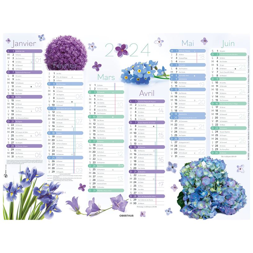 3664447151496-Calendrier Fleurs - 6 mois par face - 32 x 42 cm - Oberthur-P_405149407_1-0