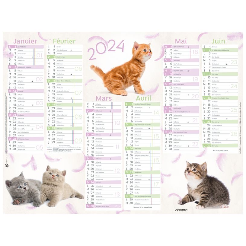 3664447151441-Calendrier Chats 4 saisons - 6 mois par face - 40,5 x 55 cm - Oberthur-P_405149420_1-0