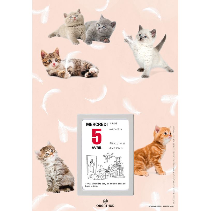 3664447162027-Oberthur - Plaque nova avec bloc éphéméride illustrée - 18 x 26 cm - disponible dans d-P_405149422_1-0