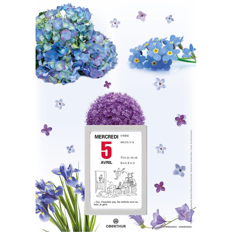 3664447162027-Oberthur - Plaque nova avec bloc éphéméride illustrée - 18 x 26 cm - disponible dans d-P_405149422_2-1