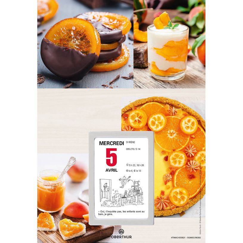3664447162027-Oberthur - Plaque nova avec bloc éphéméride illustrée - 18 x 26 cm - disponible dans d-P_405149422_3-2