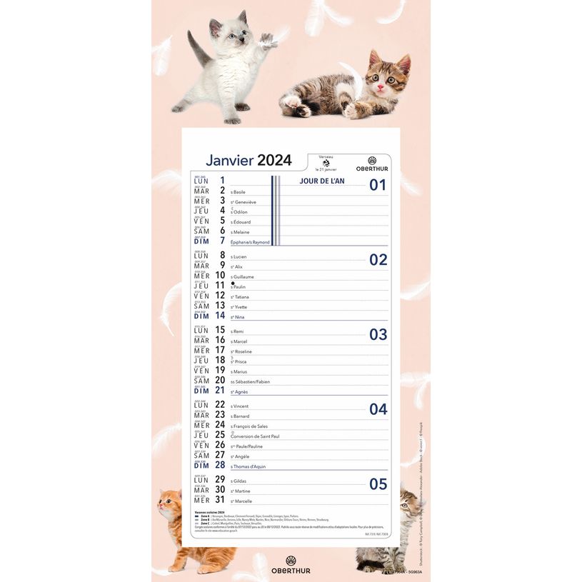 3664447162034-Calendrier mensuel en papier sur plaque nova - 16 x 33 cm - différents modèles disponibl-P_405149423_1-0