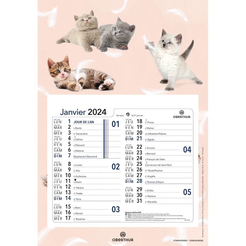 3664447162041-Calendrier mensuel en papier sur plaque nova - 18 x 26 cm - différents modèles disponibl-P_405149424_1-0