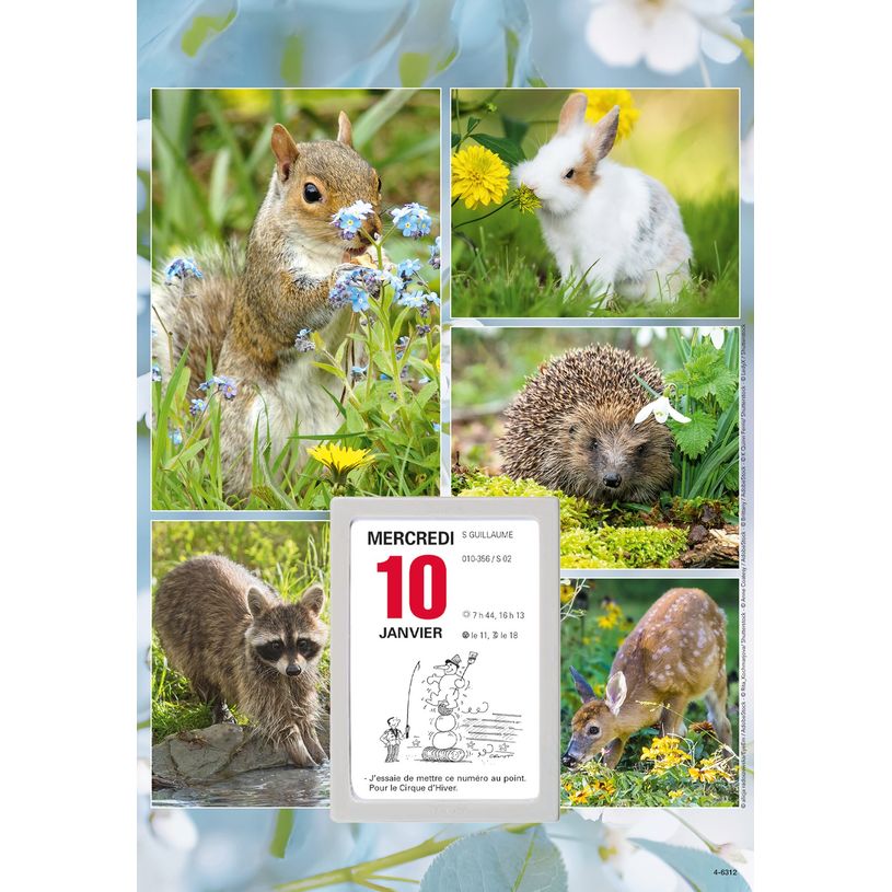 3664447162140-Oberthur - Plaque illustrée avec bloc éphéméride humoristique - 16 x 33 cm - disponibl-P_405149440_2-1