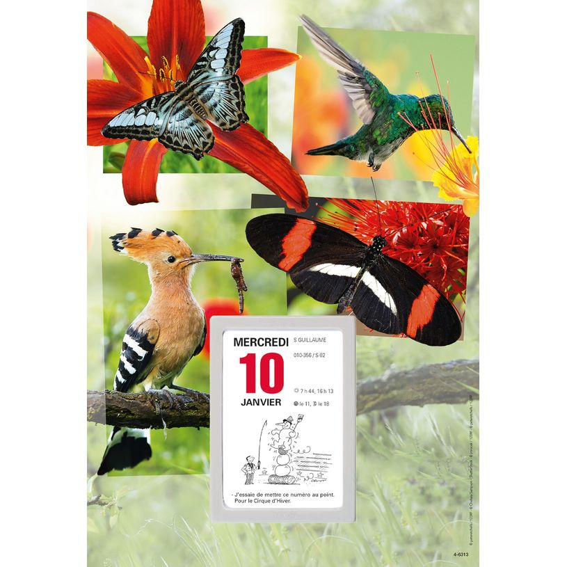 3664447162140-Oberthur - Plaque illustrée avec bloc éphéméride humoristique - 16 x 33 cm - disponibl-P_405149440_3-2