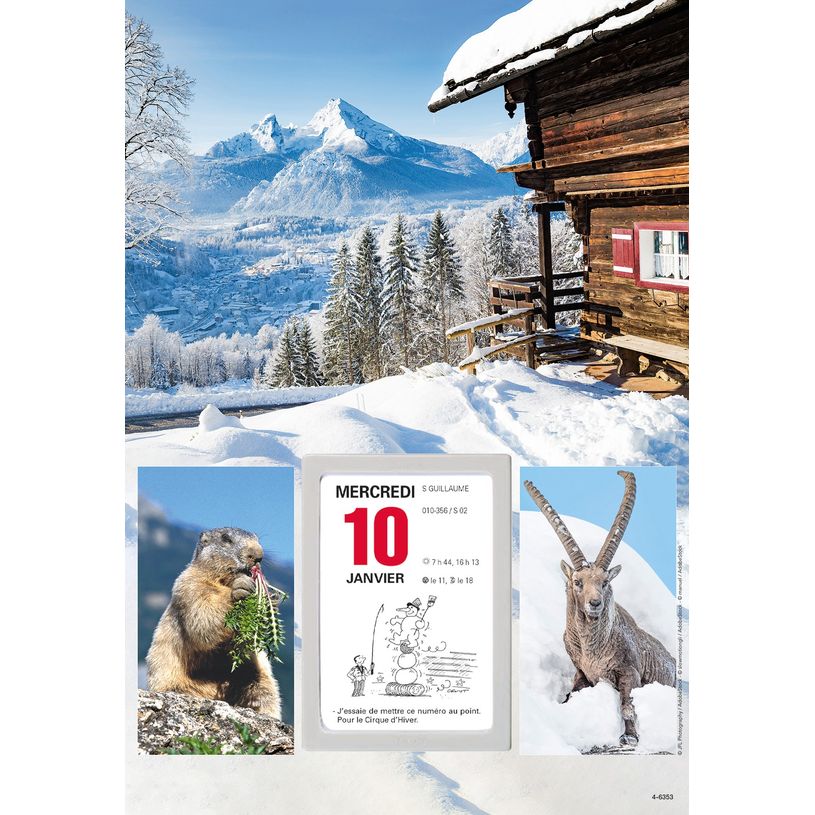 3664447162140-Oberthur - Plaque illustrée avec bloc éphéméride humoristique - 16 x 33 cm - disponibl-P_405149440_6-5