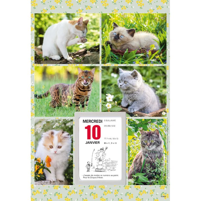 3664447162140-Oberthur - Plaque illustrée avec bloc éphéméride humoristique - 16 x 33 cm - disponibl-P_405149440_7-6