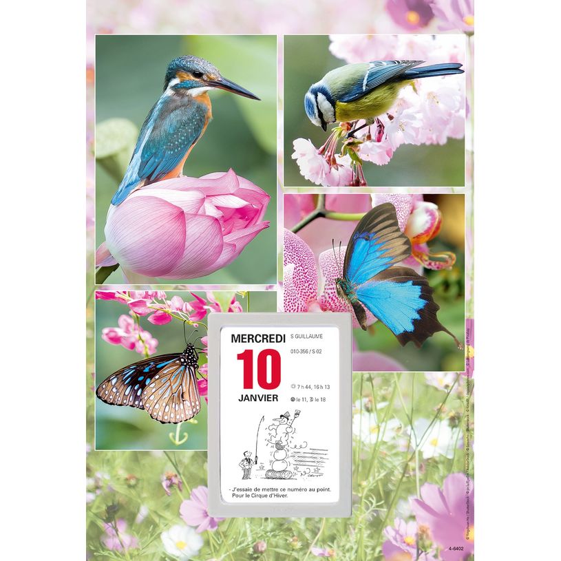 3664447162140-Oberthur - Plaque illustrée avec bloc éphéméride humoristique - 16 x 33 cm - disponibl-P_405149440_8-7