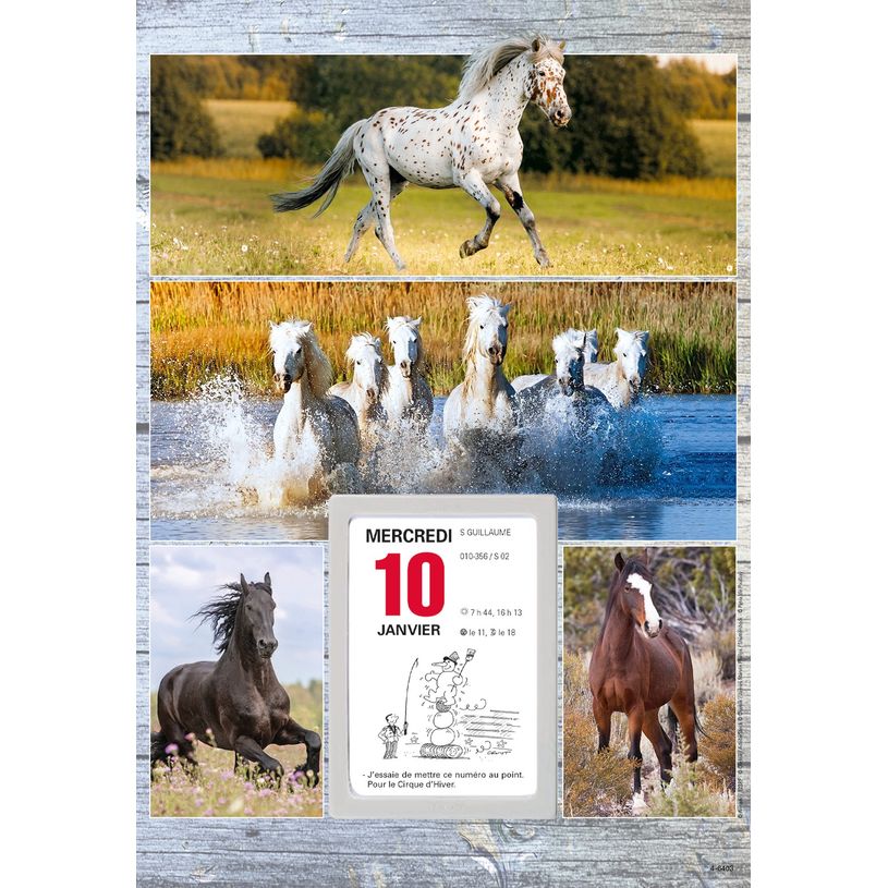 3664447162140-Oberthur - Plaque illustrée avec bloc éphéméride humoristique - 16 x 33 cm - disponibl-P_405149440_9-8