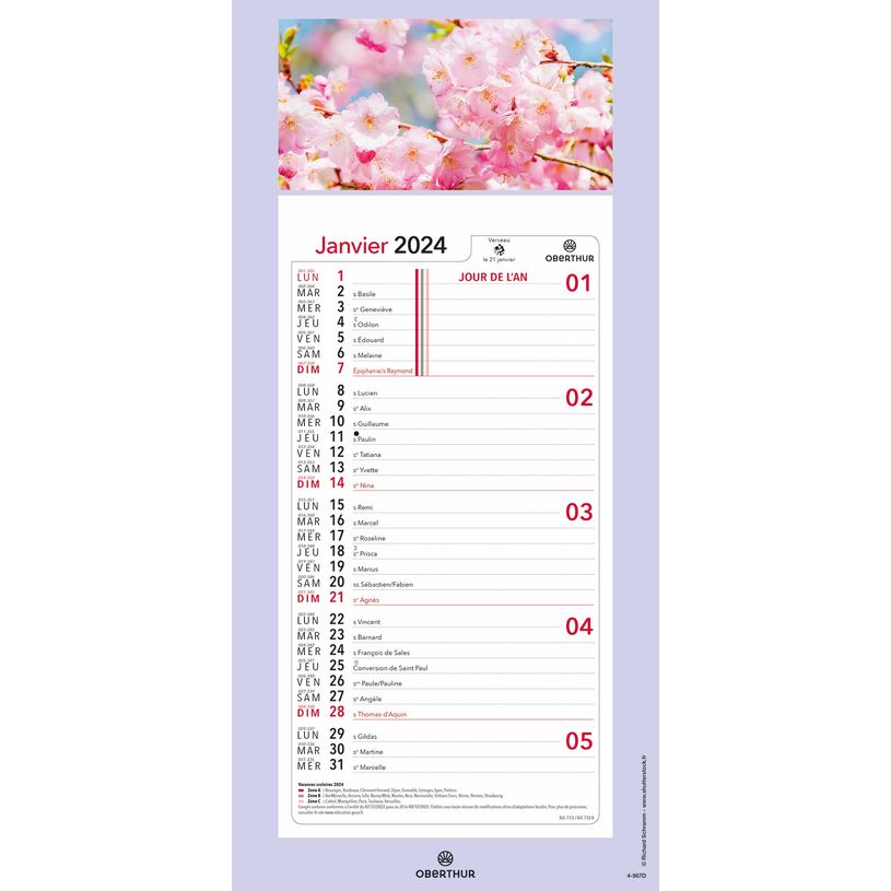 3664447162157-Calendrier mensuel en papier sur plaque illustrée - 16 x 33 cm - différents modèles dis-P_405149441_4-3