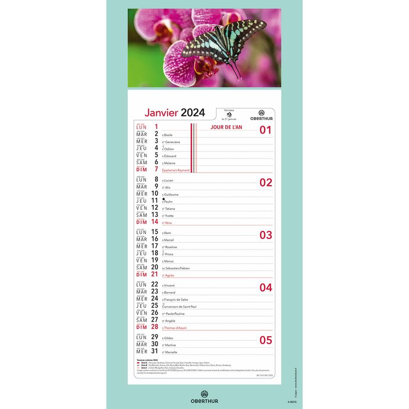 3664447162157-Calendrier mensuel en papier sur plaque illustrée - 16 x 33 cm - différents modèles dis-P_405149441_7-6