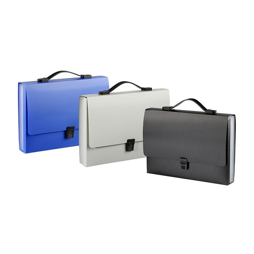 3135250978001-Viquel Promax - Valisette Trieur 8 compartiments - extensible - disponible dans différent-P_405149540_1-0