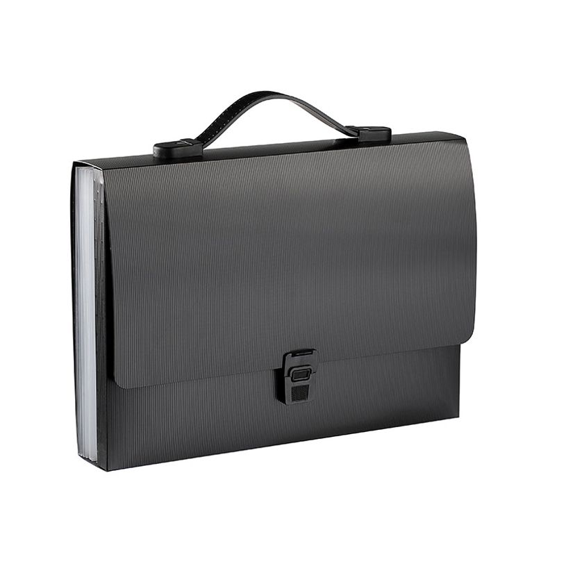 3135250978001-Viquel Promax - Valisette Trieur 8 compartiments - extensible - disponible dans différent-P_405149540_2-1