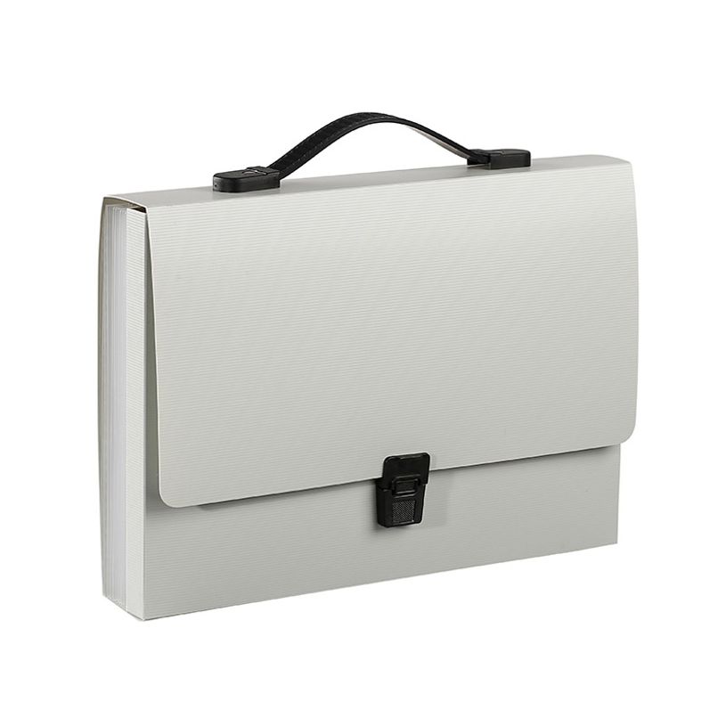 3135250978001-Viquel Promax - Valisette Trieur 8 compartiments - extensible - disponible dans différent-P_405149540_3-2