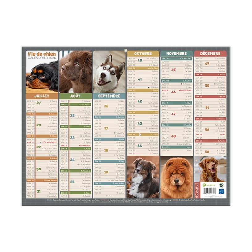 3592930028904-Calendrier bancaire illustré année civile BOUCHUT "Humour chien Medium" 32 x 42 cm Pefc -P_405149828_1-2