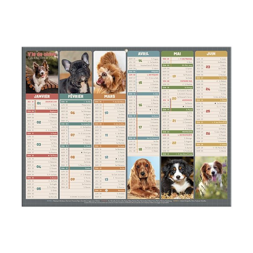 3592930028904-Calendrier bancaire illustré année civile BOUCHUT "Humour chien Medium" 32 x 42 cm Pefc -P_405149828_2-3
