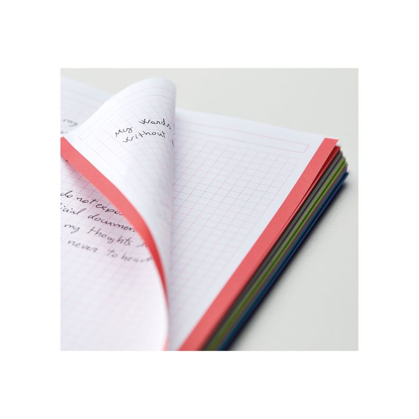 8422593422328-iquelrius The Original - Cahier à spirale - A5 (148 x 210 mm) - 300 pages - petits carrea-P_405150188_1-1