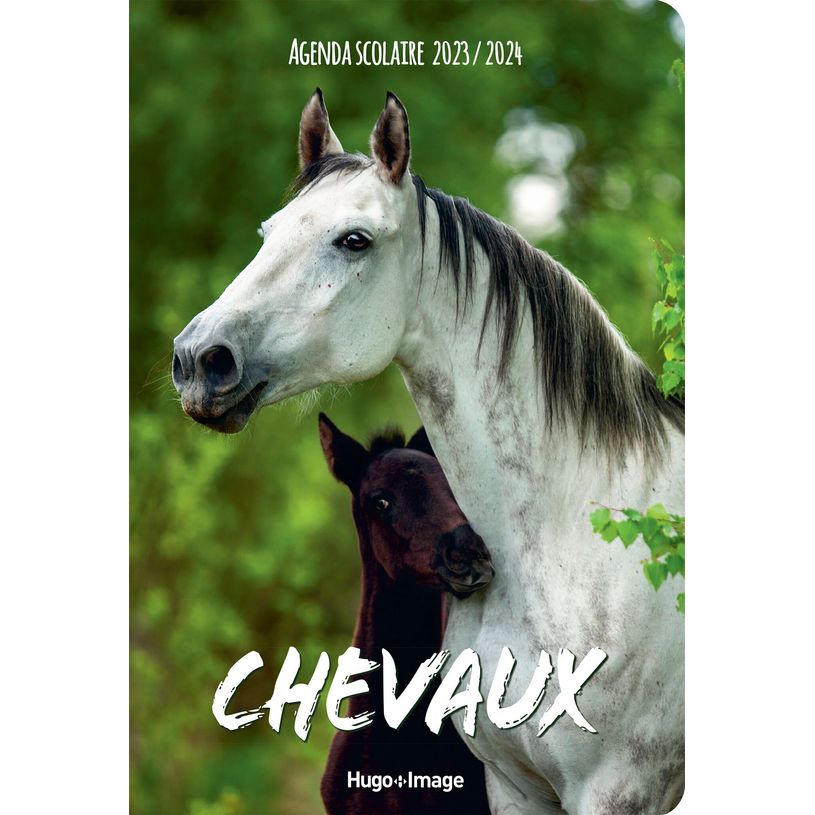 9782755665338-Agenda Chevaux - 1 jour par page - 12 x 17 cm-P_405151270_1-0
