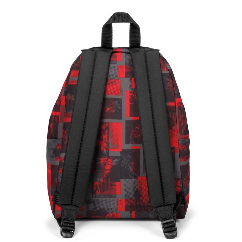 196246319126-EASTPAK Padded Pak'r - Sac à dos - 40 cm - City-P_405155206_4-3